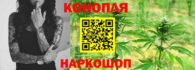спайс Обь