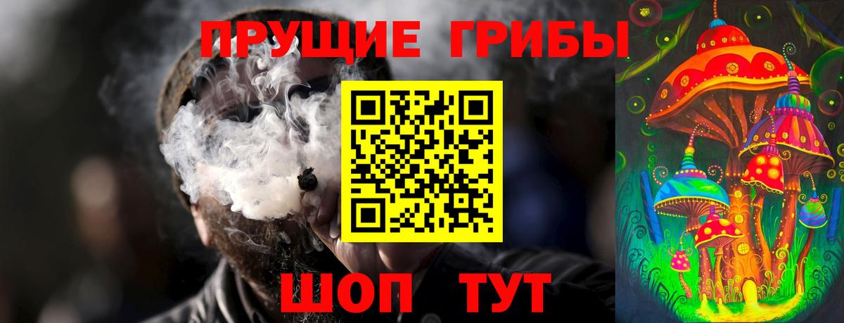 Сосновоборск  Галлюциногенные грибы ЛСД  Галлюциногенные грибы GOLDEN TEACHER  Вход с VPN 
